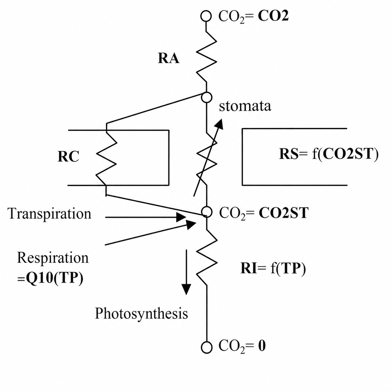 Basic structure of cuc151 model